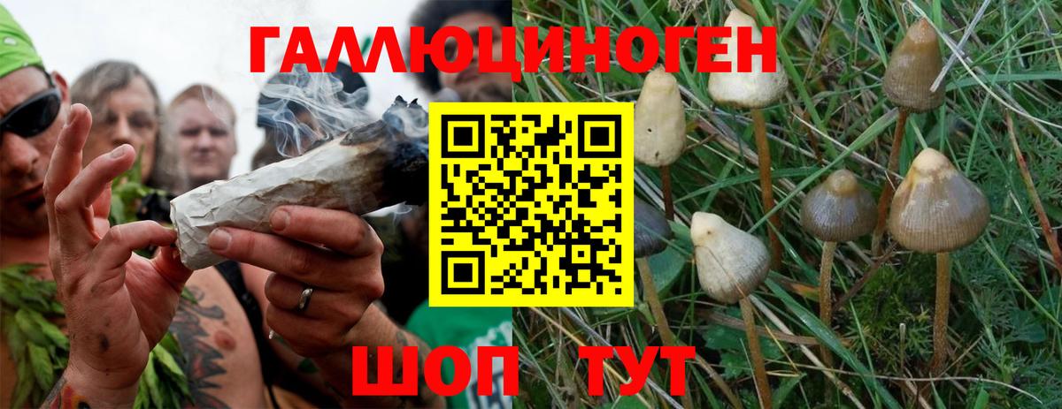 Псилоцибиновые грибы MAGIC MUSHROOMS  Галлюциногенные грибы MAGIC MUSHROOMS  Чехов  Вход с VPN 