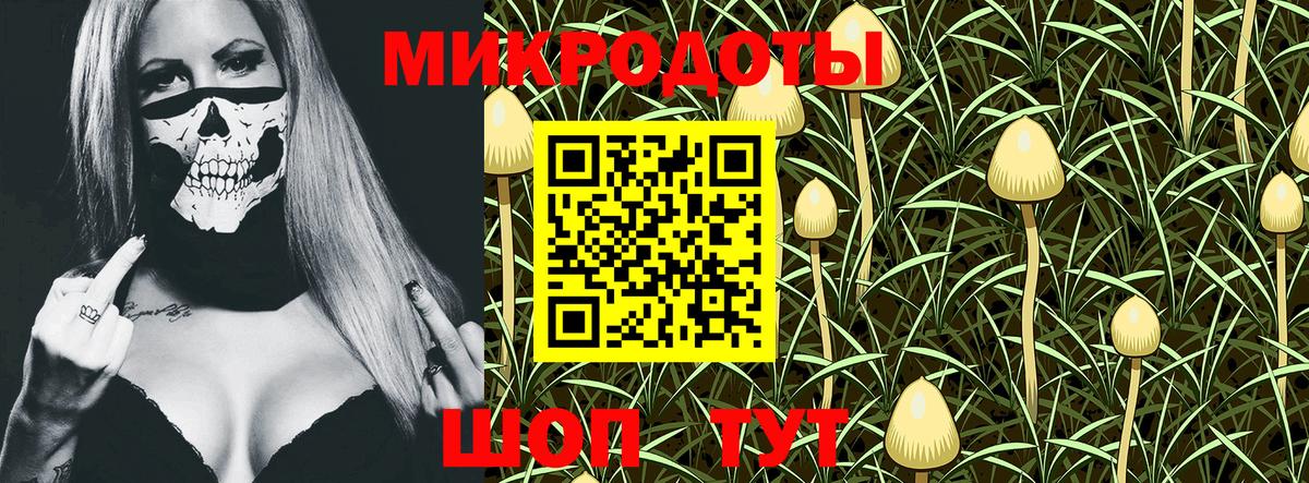 Галлюциногенные грибы GOLDEN TEACHER Чехов